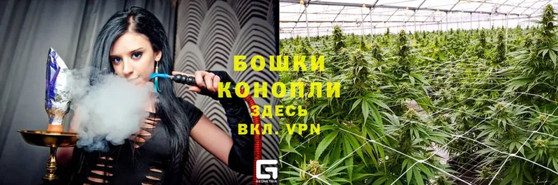 Бошки марихуана White Widow  Балей 